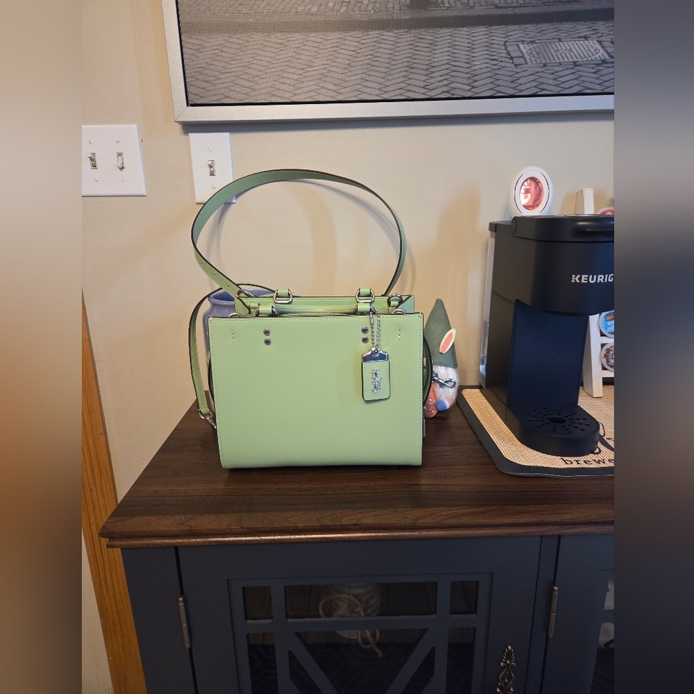 Rare Pale Pistachio Coach Rogue 25